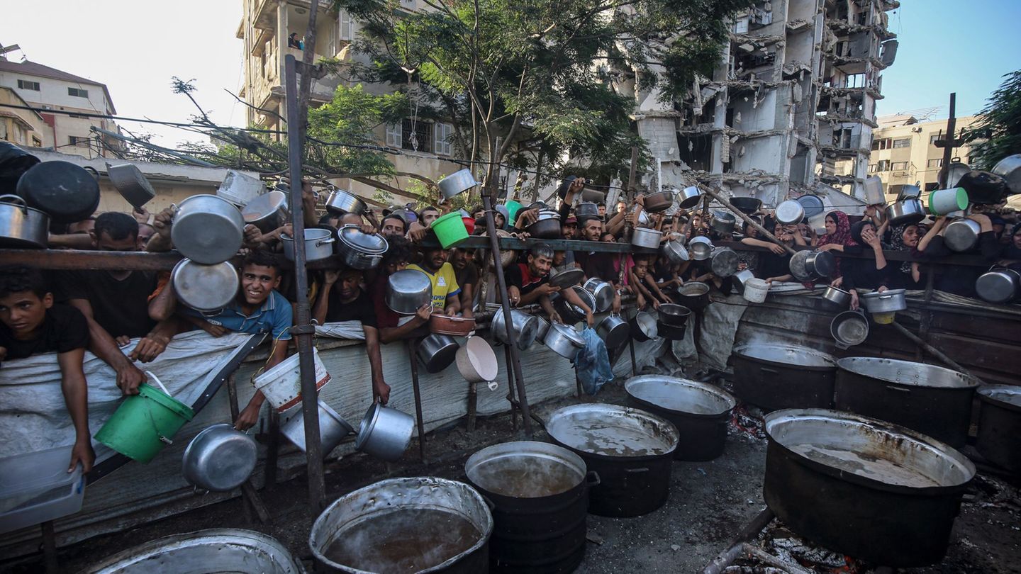 Gaza War: UN Organization accuses Israel of a shot of help seekers