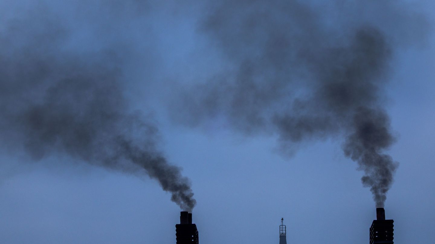Climate: CO2 emissions of container ships have increased