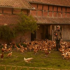 Lars Odefeys Hühner: Der etwas andere Schlachthof