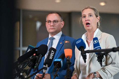 AfD-Chefin Alice Weidel hat für Protestaktion während ihres ARD-Sommerinterviews "kein Verständnis"