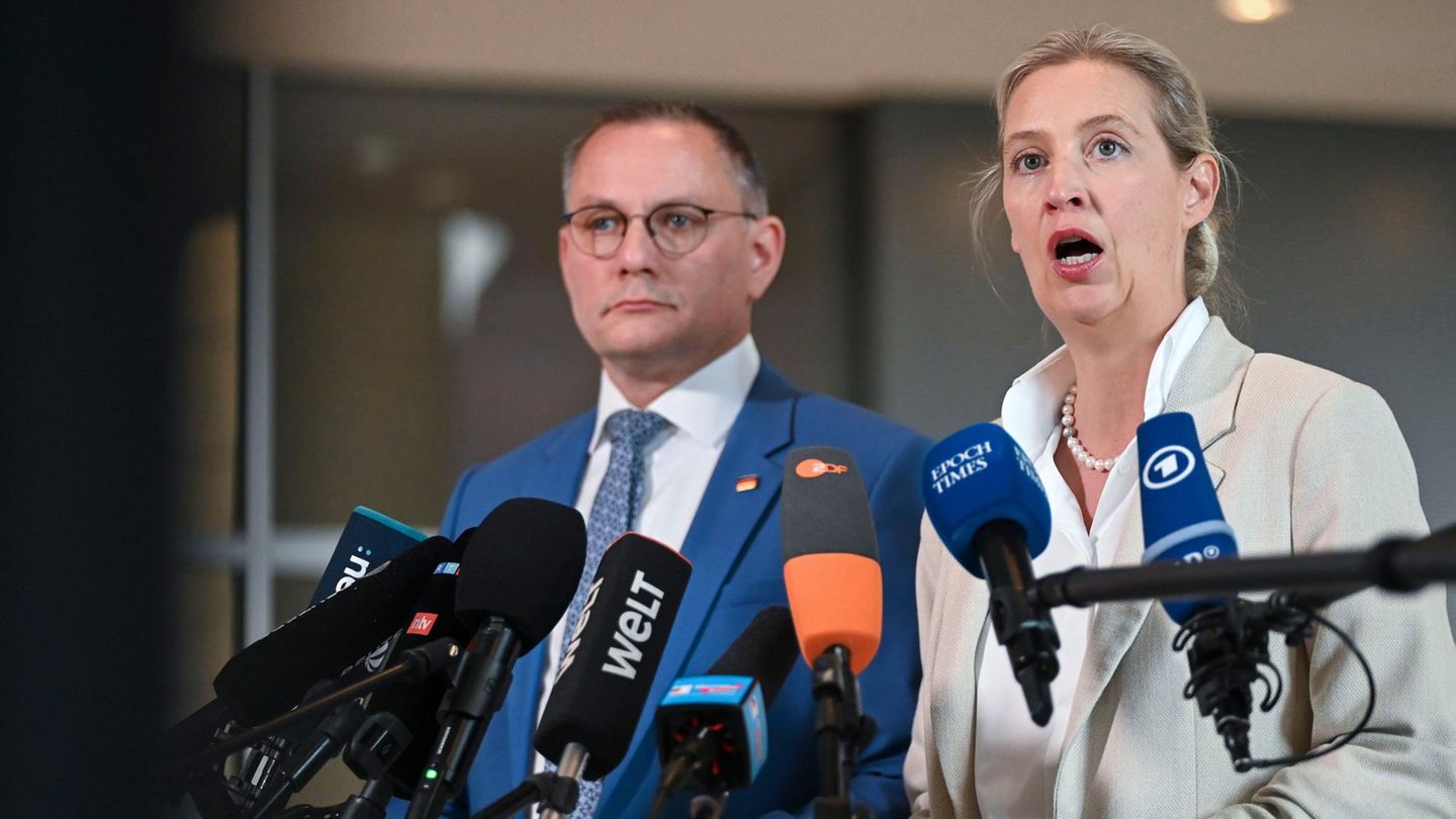 AfD politician demands repetition of the Weidel interview
