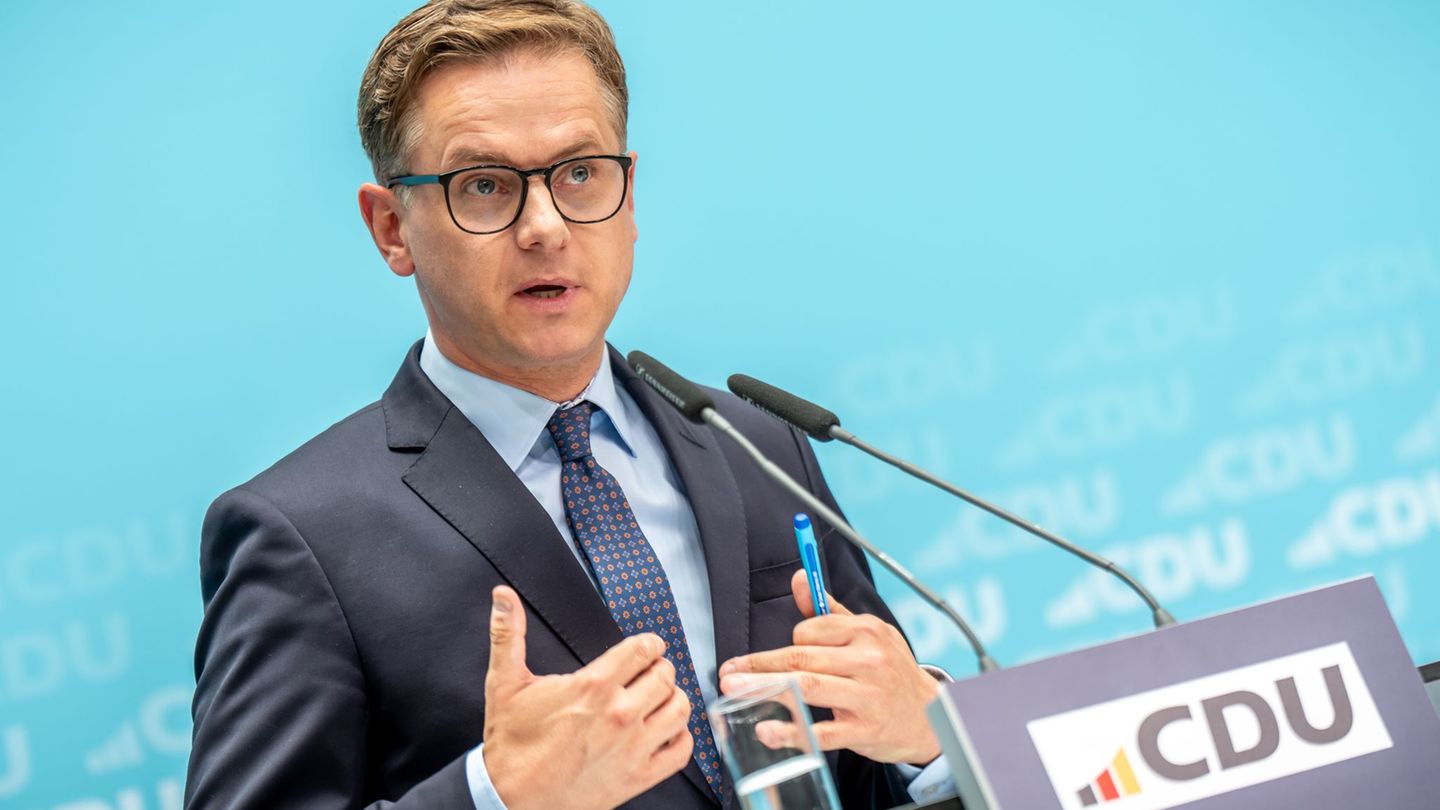 Parties: Linnemann: AfD makes a protest in Weidel interview