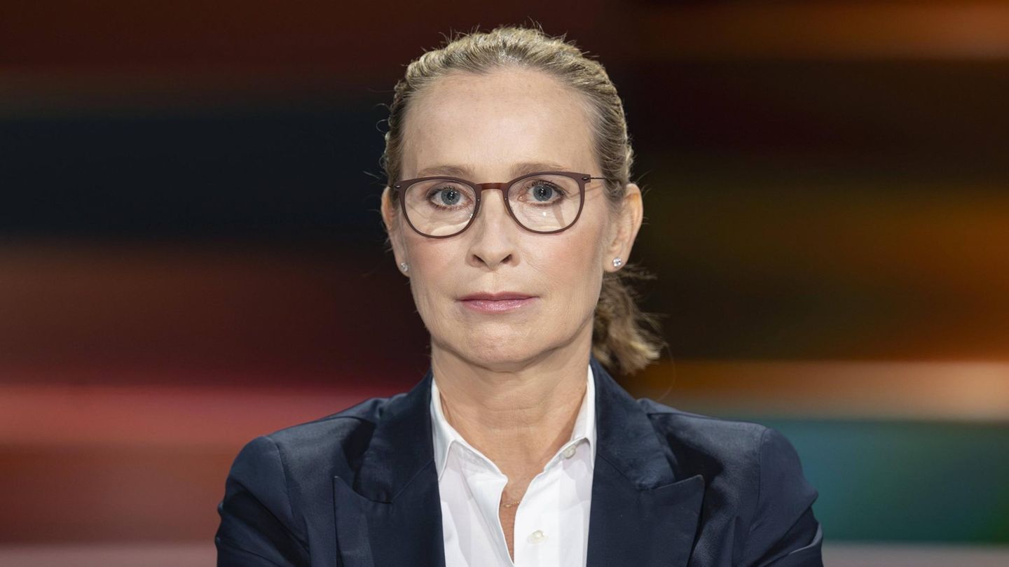 Frauke Brosius-Gersdorf: Even Union voters held back