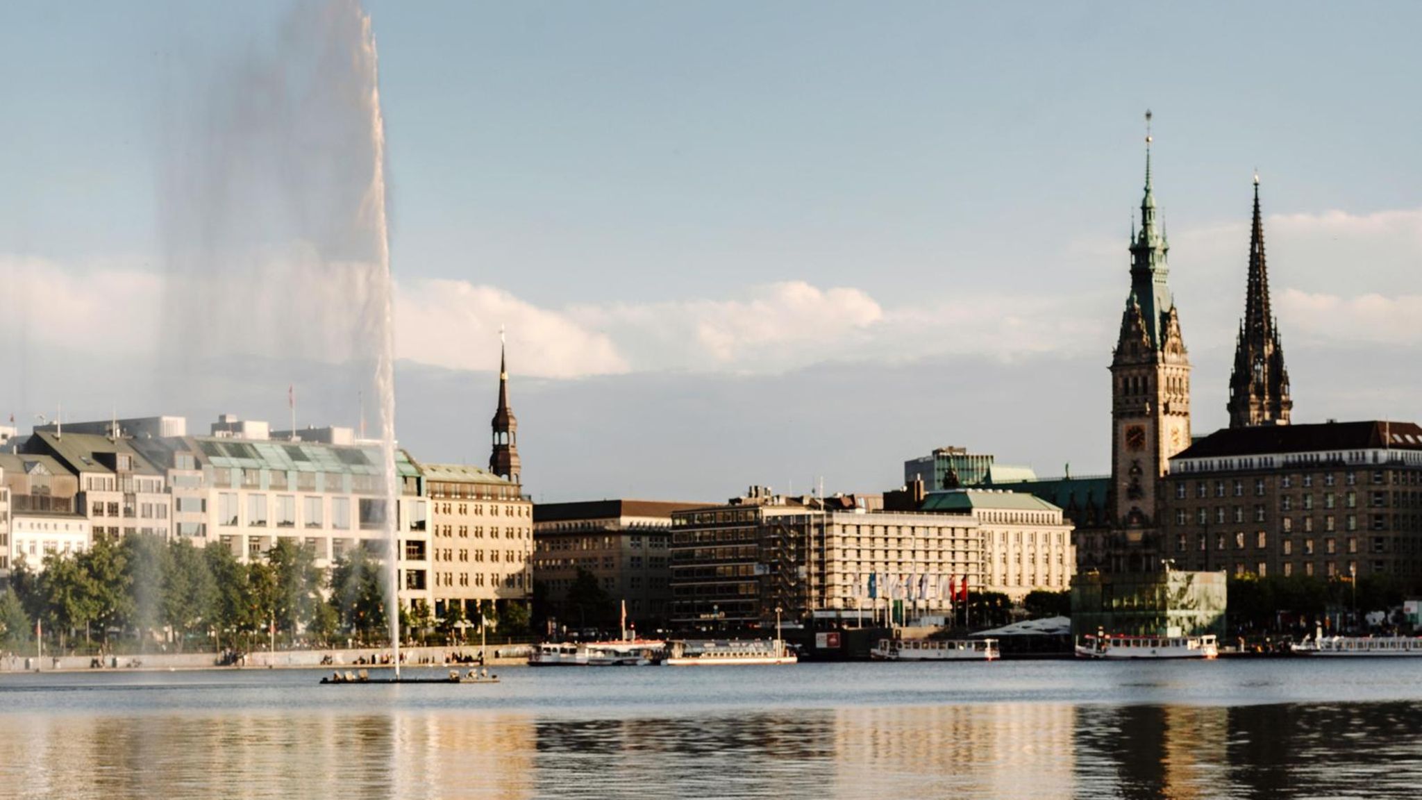 Ein Schwan vor der Kulisse der Binnenalster