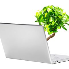 Ein Baum wächst aus einem Computer (Symbolbild)