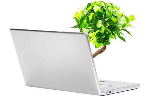 Ein Baum wächst aus einem Computer (Symbolbild)