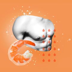 Bluttransfusion und Ohnmacht: Ein Torso eines Mannes mit einem Shrimp