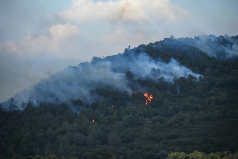 Waldbrand in Frankreich