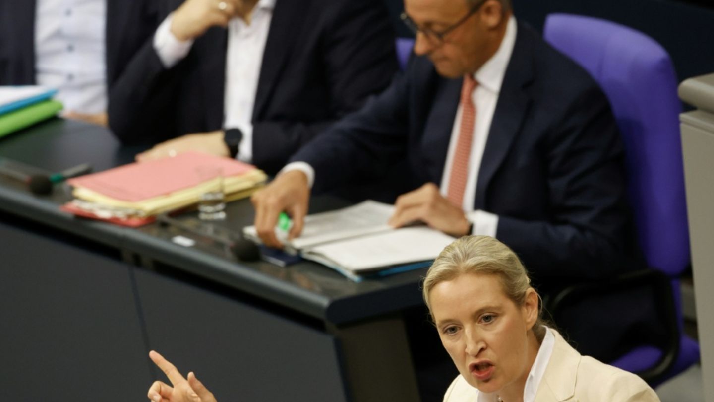 AfD-Chefin Weidel, im Hintergrund Kanzler Merz