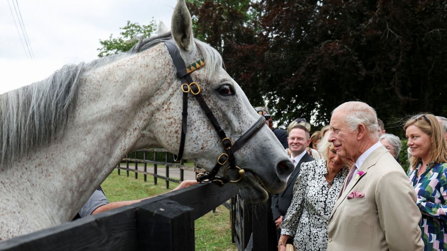 King Charles III. and Queen Camilla: Royals visit English horse metropolis