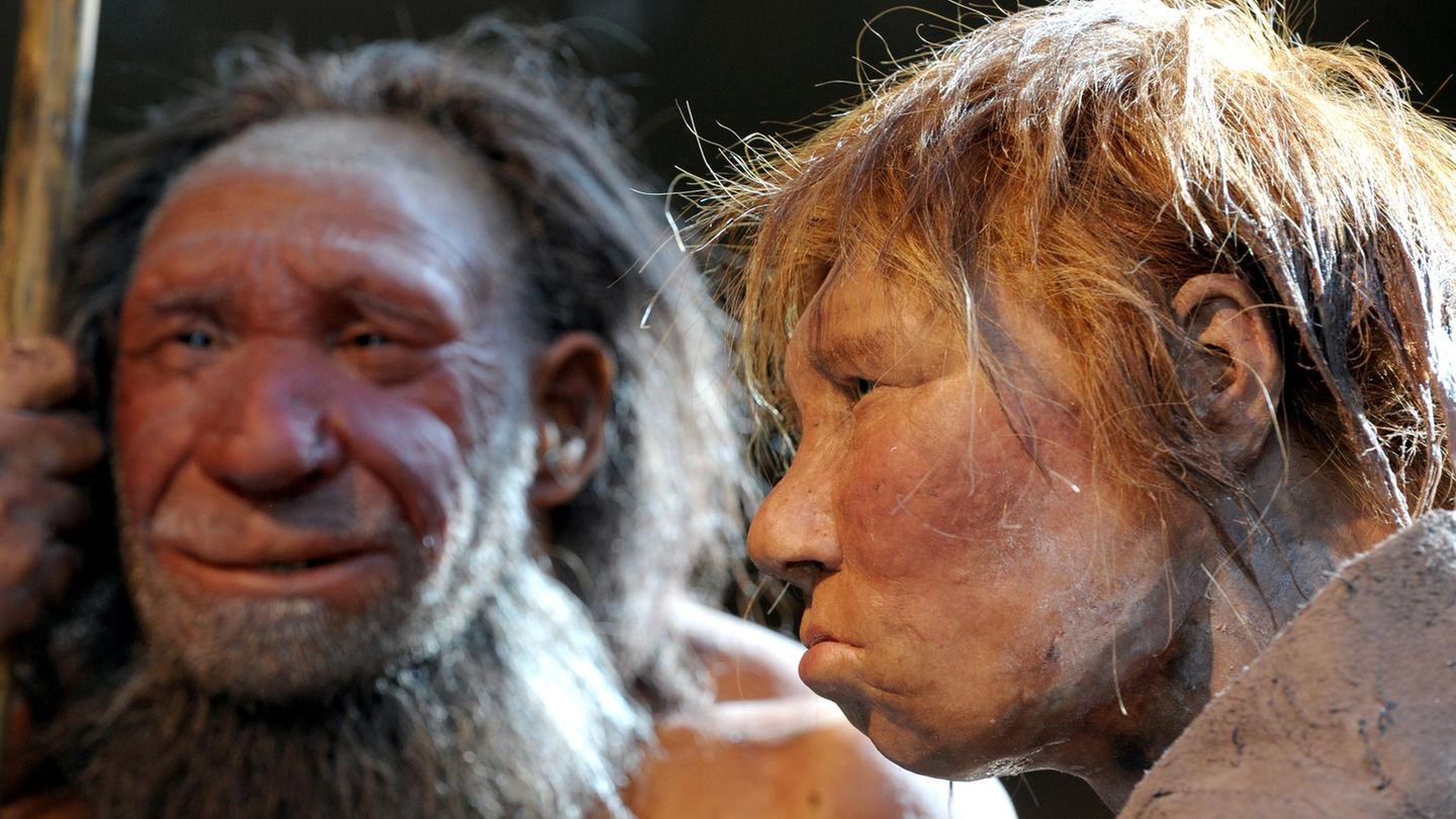 Die Nachbildungen zweier Neandertaler im Neanderthal Museum in Mettmann nahe Düsseldorf