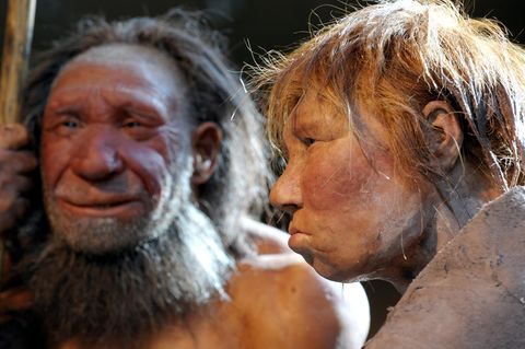 Die Nachbildungen zweier Neandertaler im Neanderthal Museum in Mettmann nahe Düsseldorf