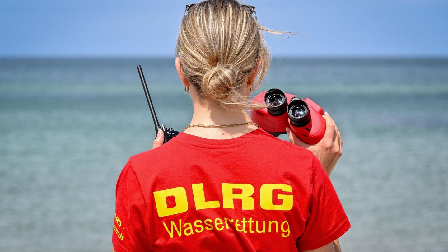 Badeurlaub-Quallen-Giftalgen-Munition-Die-gr-ten-Gefahren-in-der-Ostsee