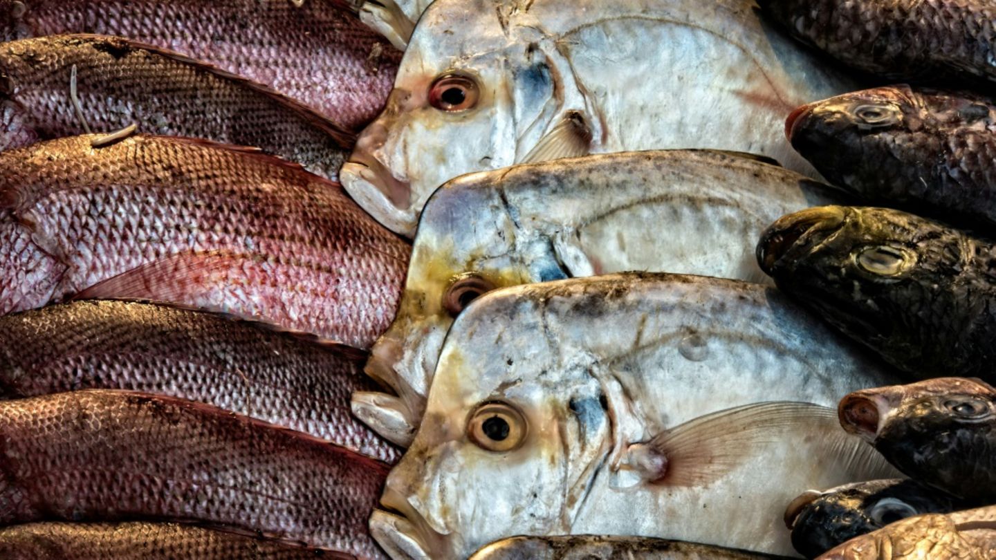 Fische im Jahr 2017 zum Verkauf angeboten