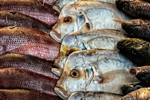 Fische im Jahr 2017 zum Verkauf angeboten