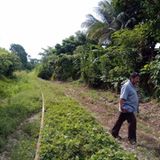 So nahe wie hier kommen sich der Atlantik und der Pazifik selten. Nur rund 60 Kilometer ist der "Isthmus von Panama" breit, die Landenge, die Nord- und Südamerika verbindet. Kaum verwunderlich, dass an dieser Stelle schon immer wichtige Stätten und Straßen lagen