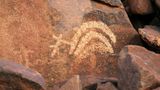 Die Gegend im Nordwesten ist für seine Felsbilder, die Petroglyphen, bekannt. Schon vor zehntausenden von Jahren erzählten die Aborigines Traumzeit-Geschichten. In Murujuga sind Kultur, Natur und Spiritualität eng miteinander verwoben