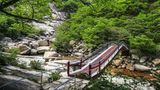 Für normale Reisende etwas abgelegen liegt der Kŭmgangsan, auf Deutsch Diamantenberg. Das Heiligtum des koreanischen Buddhismus mit Steinskulpturen und kalligrafischen Inschriften ist ein Pilgerort, der für Südkoreaner kaum erreichbar ist