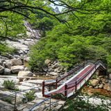 Für normale Reisende etwas abgelegen liegt der Kŭmgangsan, auf Deutsch Diamantenberg. Das Heiligtum des koreanischen Buddhismus mit Steinskulpturen und kalligrafischen Inschriften ist ein Pilgerort, der für Südkoreaner kaum erreichbar ist