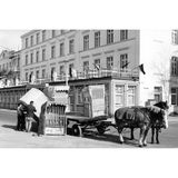 Pferdekutsche zum Transport von Strandkörben