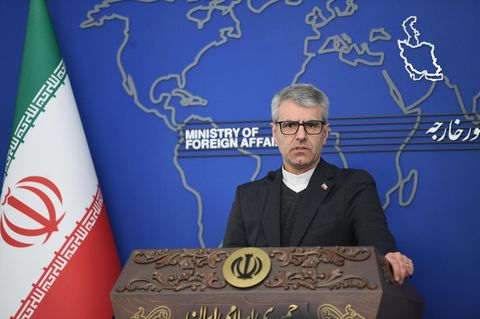 Porträt Esmaeil Baghaei