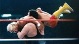 Hogans Charakter als super-patriotischer Amerikaner schlägt bei den Fans ein, wie eine Bombe. Er ist maßgeblich dafür verantwortlich, dass es die Schaukämpfe in die Mitte der amerikanischen Gesellschaft schaffen. Wrestling kommt aus der Schmuddelecke heraus. Hogans Match gegen Andre the Giant bei Wrestlemania III 1987 vor mehr als 90.000 Zuschauer geht in die Historie ein