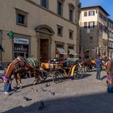 32/150 Punkten, Unruhe-Platz 1. Schlechtester Wert: Lärm (Platz 1), bester Wert: Besucherdichte pro Stunde (Platz 13)