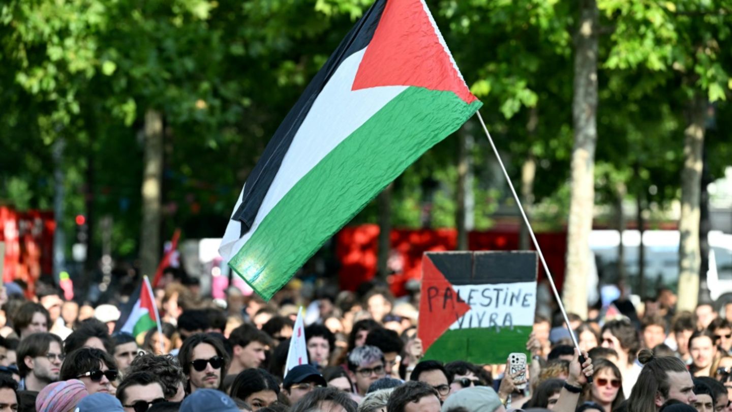 Palästinensische Flagge auf Demonstration in Paris