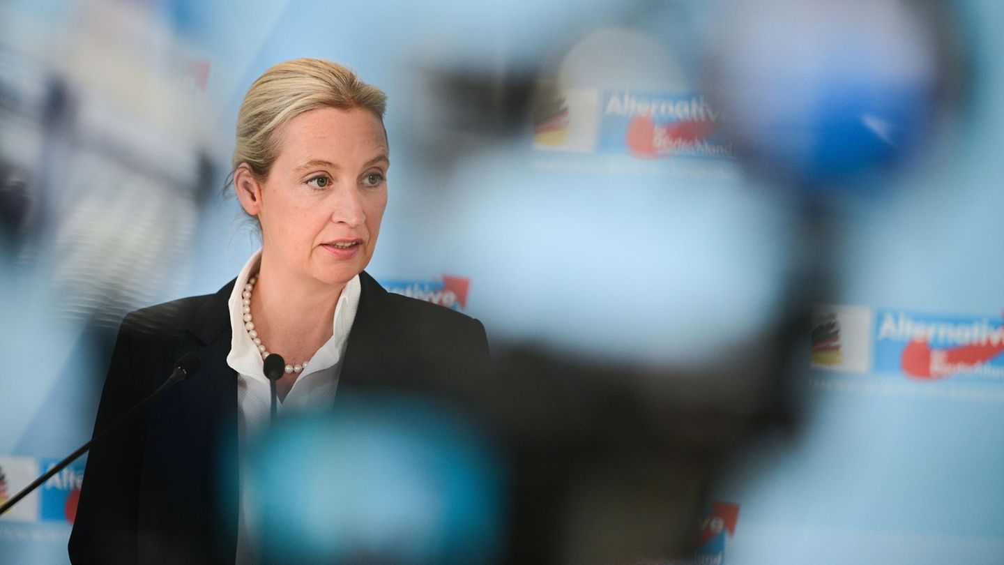 Hello Alice Weidel: We think that’s really good at Germany