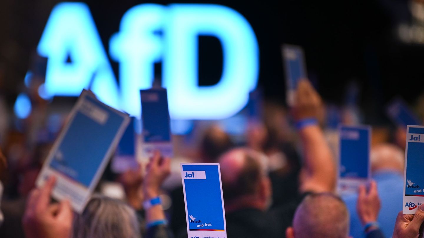 AfD: debate about a new logo for party youth-“a little nazi aesthetics”