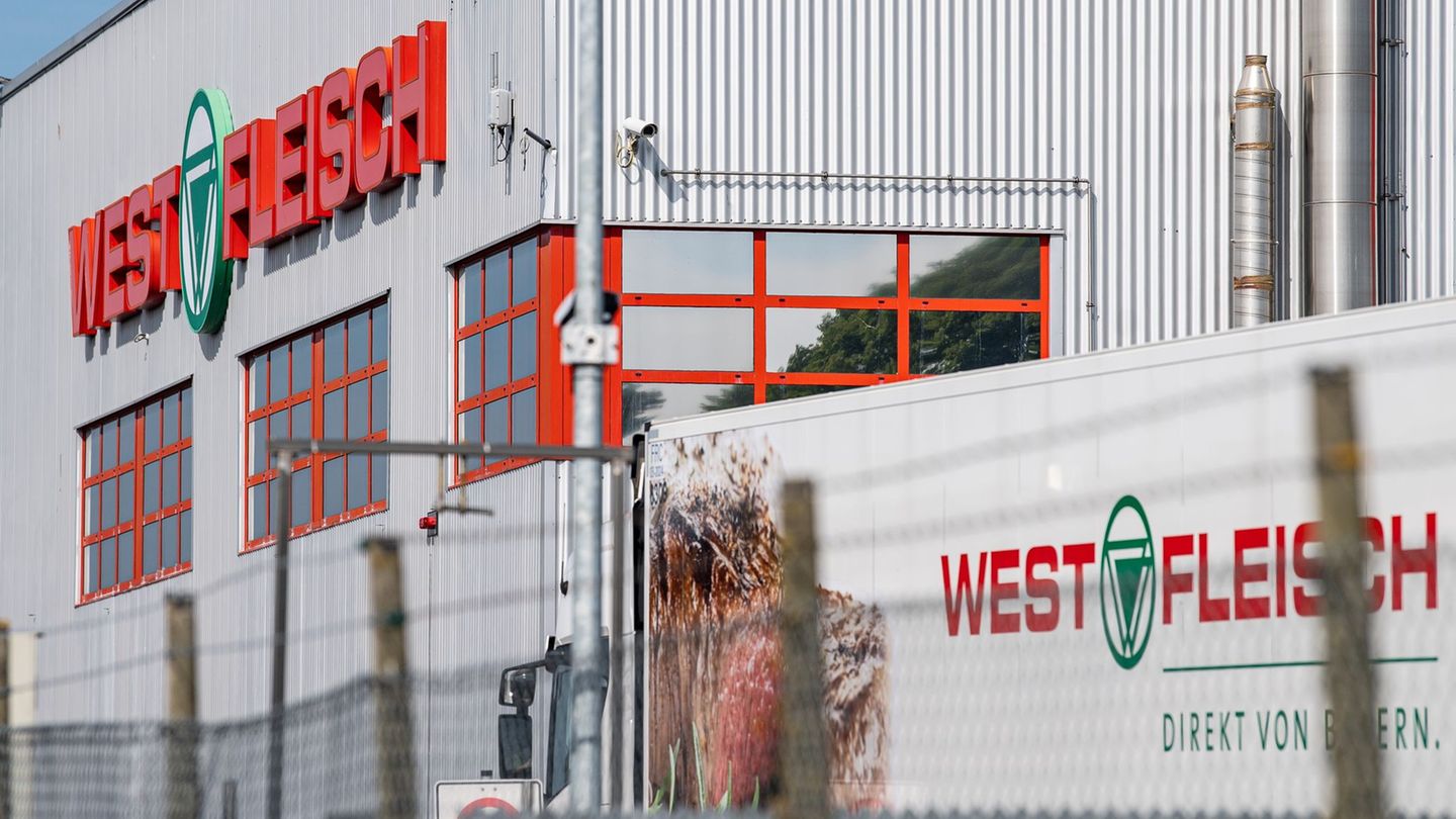 Meat industry: West meat is also interested in Vion-Battle Höfe