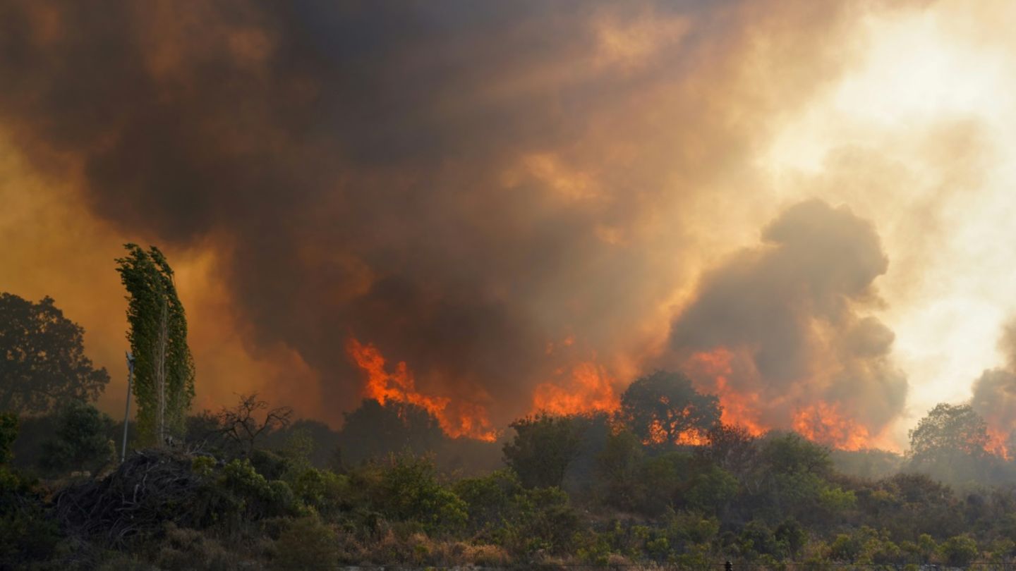 Waldbrand auf Zypern am Donnerstag