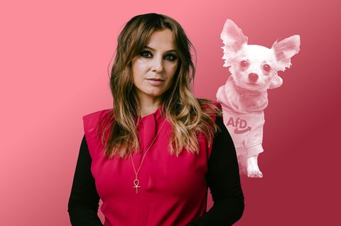 Montage zeigt Jagoda Marinic vor einem Chihuahua, der einen Pullover mit AfD-Schriftzug trägt