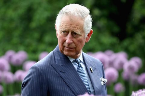 König Charles steht in einem der köglichen Gärten zwischen Blumen