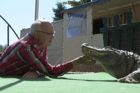Alligator als Haustier: So kam "Frau Meyer" nach Mecklenburg-Vorpommern