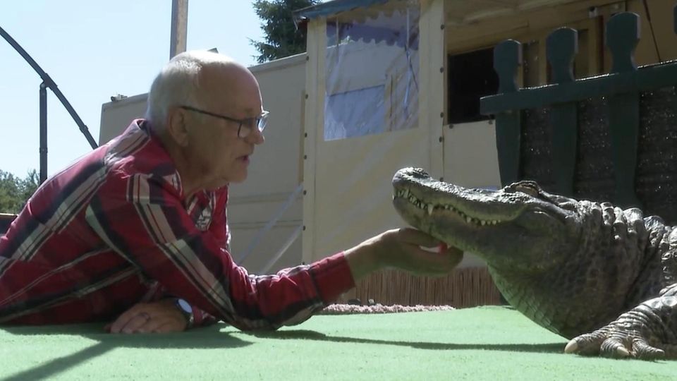 Alligator als Haustier: So kam "Frau Meyer" nach Mecklenburg-Vorpommern Alligator als Haustier: So kam "Frau Meyer" nach Mecklenburg-Vorpommern