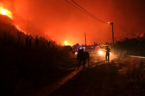 Feuersbrunst in der Türkei