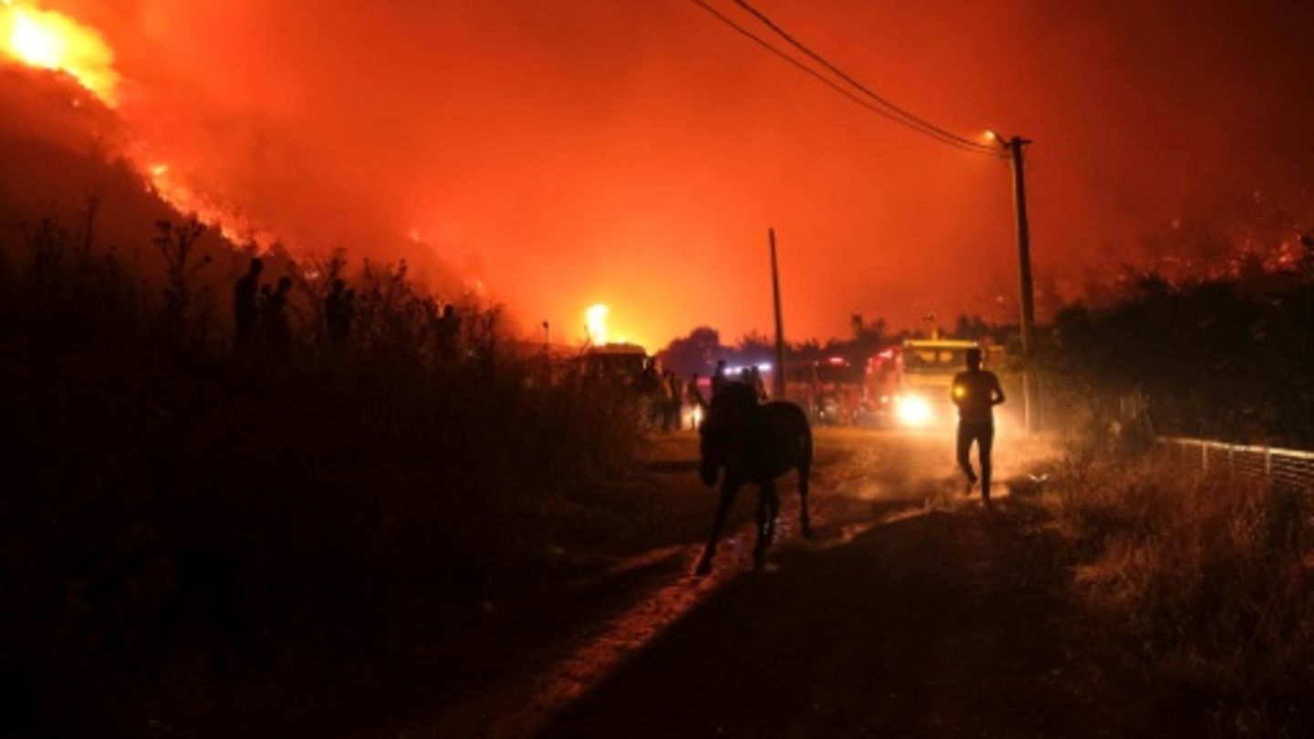 Feuersbrunst in der Türkei