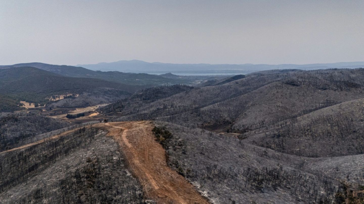 Uničujoči gozdni požari v Grčiji in Turčiji v času ekstremne vročine