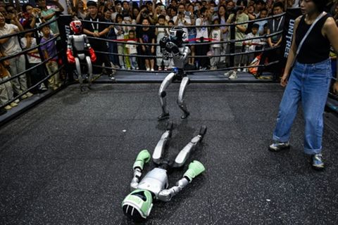 Kampf-Roboter