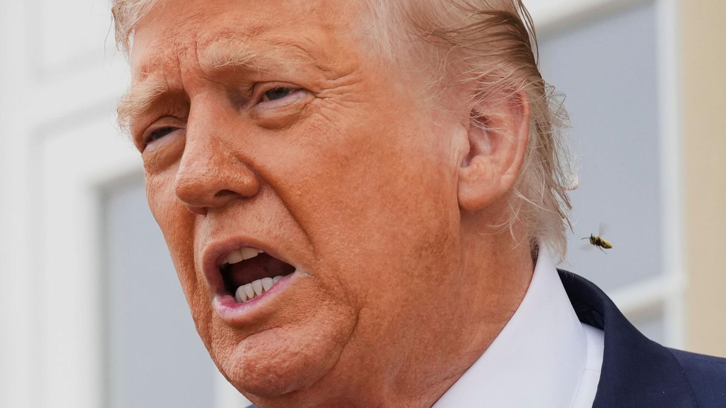 Trump gives Putin “ten to twelve days” to end Ukraine War