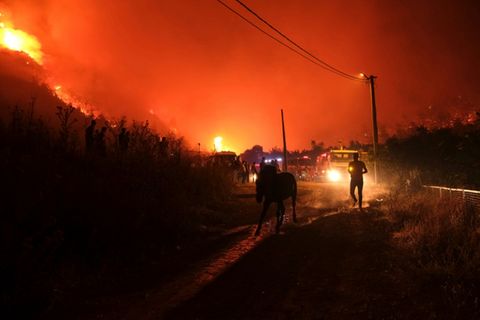 Waldbrand in der Türkei