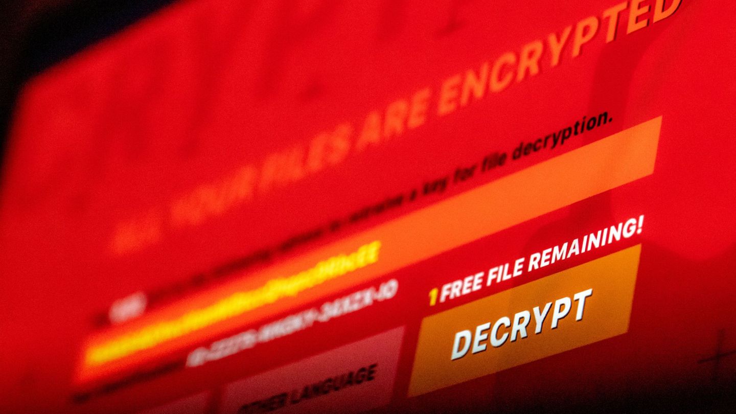 Kriminalität im Netz: Ermittler stoppen Erpresser-Software - fast 200 Opfer