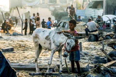 Gazastreifen nach Bombardierung