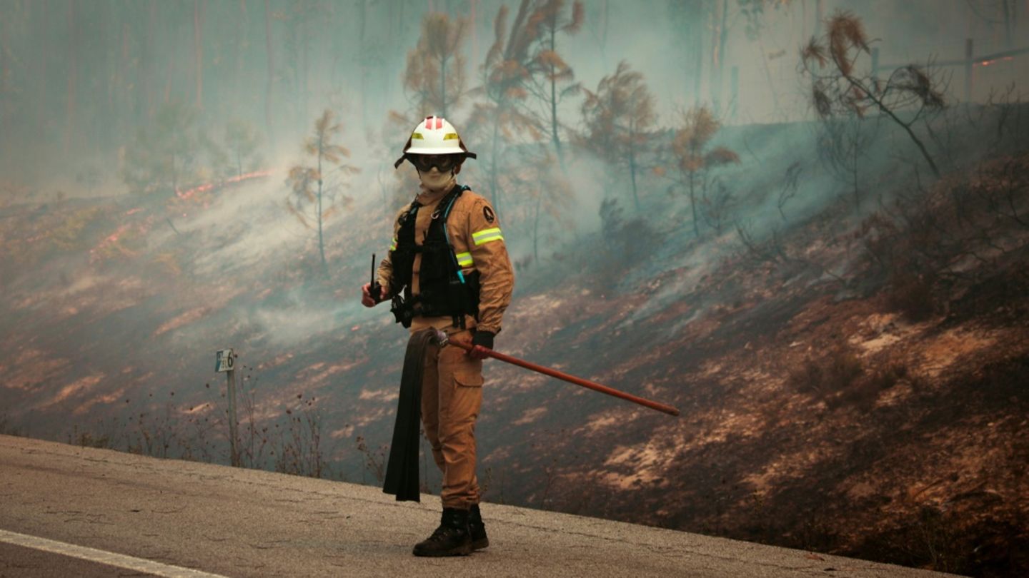 Waldbrände im Norden und Zentrum Portugals: Fast 2000 Feuerwehrleute im Einsatz