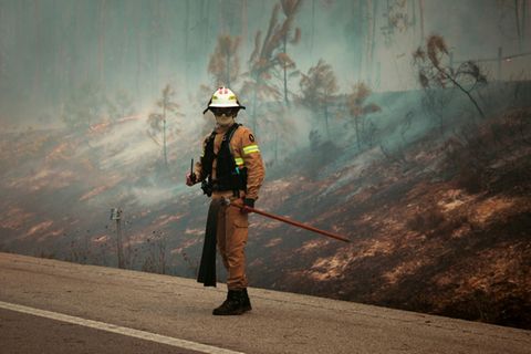 Waldbrand in Pombal