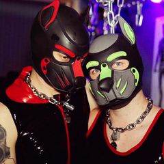 Pup-Play: Ein Ehepaar über Fetisch, Alltag und Hass im Netz