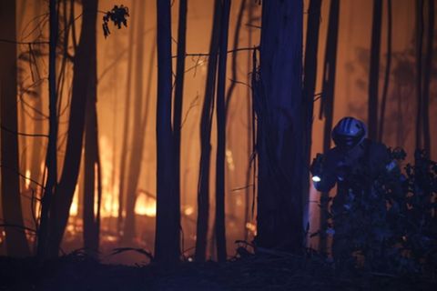 Kampf gegen die Flammen