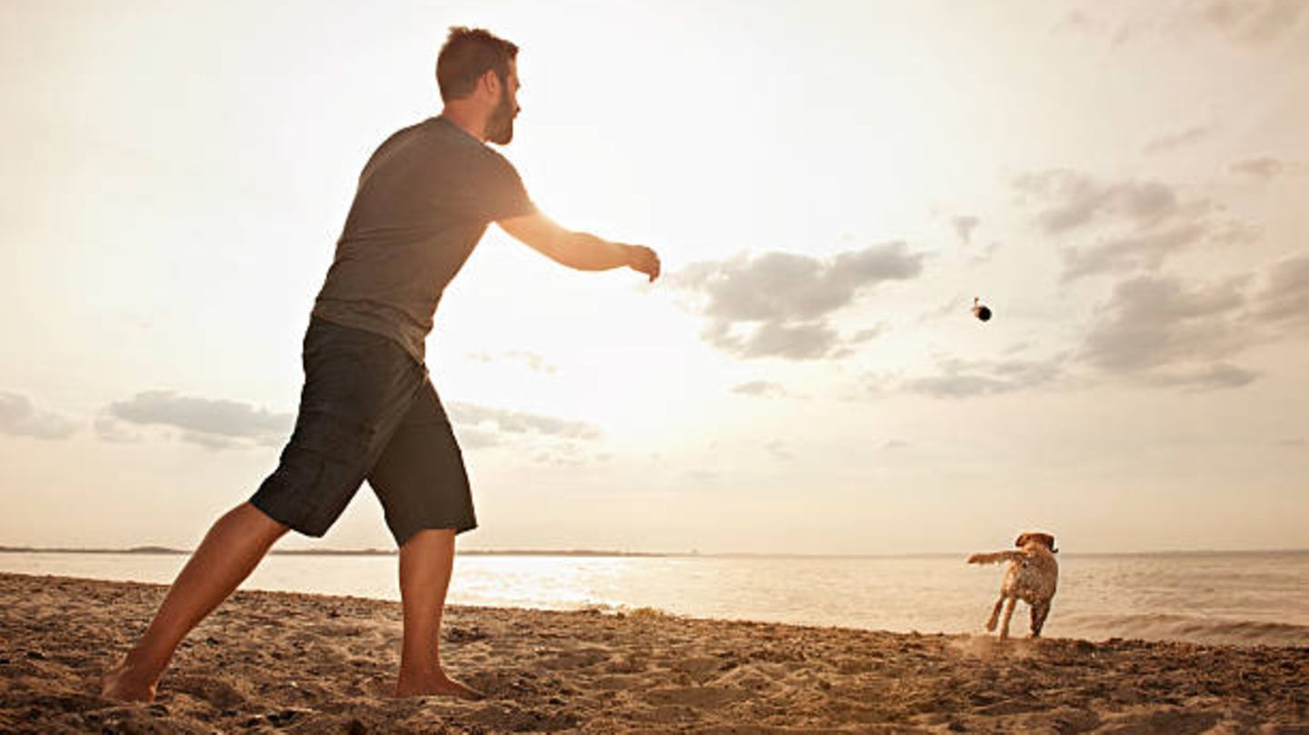 Short pants trends for men: Which shorts are in this summer