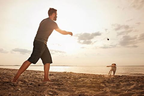 Ein Mann in kurzer Hose spielt mit seinem Hund am Strand